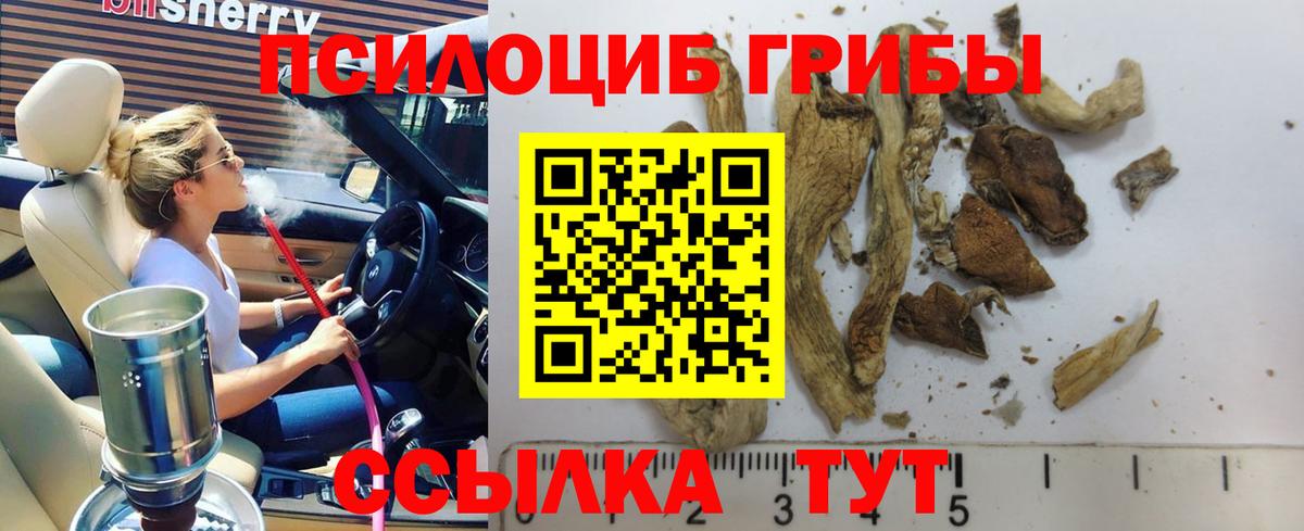 Галлюциногенные грибы мухоморы Липецк