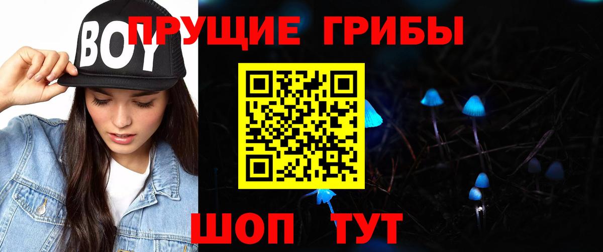Липецк  Псилоцибиновые грибы GOLDEN TEACHER  Вход с VPN 